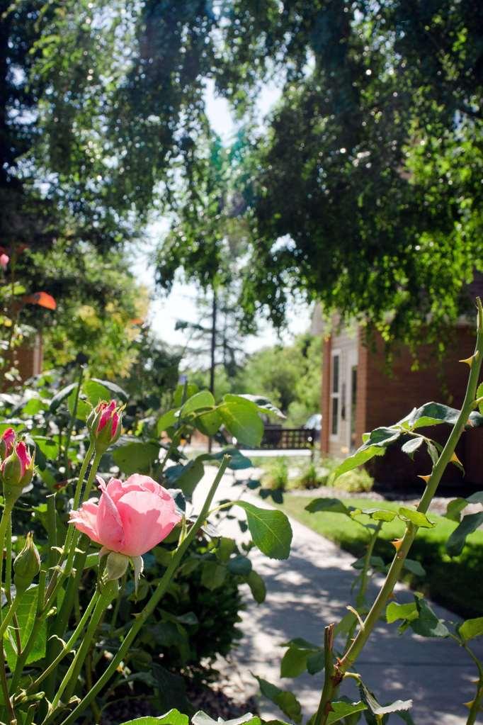 Sonesta Es Suites Fresno Konforlar fotoğraf